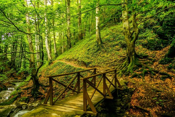 Retrouver une logique de consommateur averti en passant vos vacances dans un camping écologique des Hauts-de-France : tous les avantages.