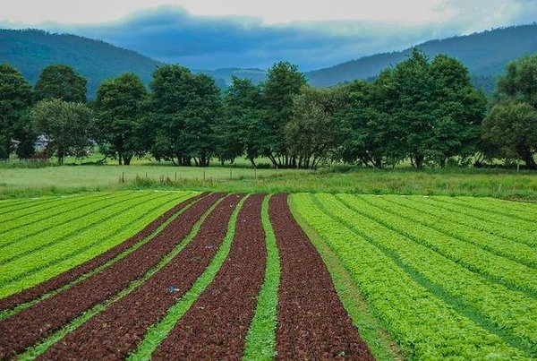 Les avantages de l'éco-tourisme à la ferme