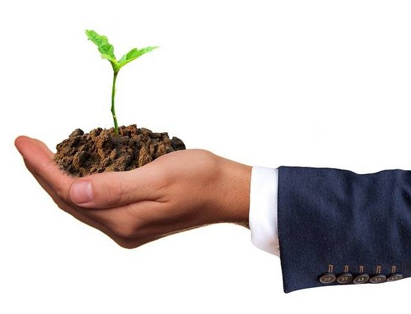 Protéger la Nature : Pourquoi nous devrions agir maintenant
